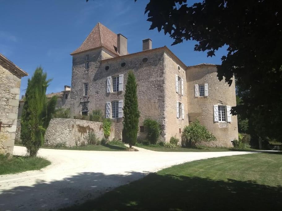 Chateau Barayre - Beautiful 12Th Century Castle With Pool And Large Garden Laussou Eksteriør bilde